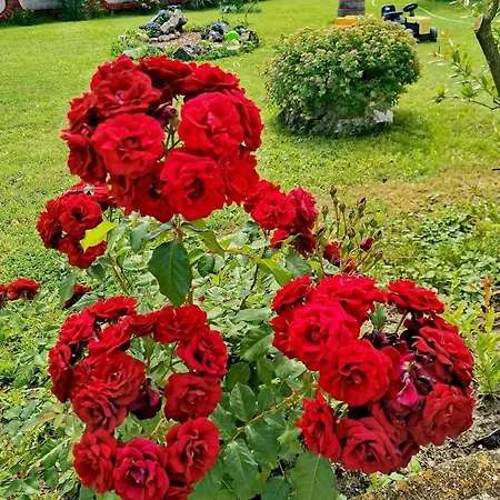 Dom wakacyjny Sumadijska Panorama