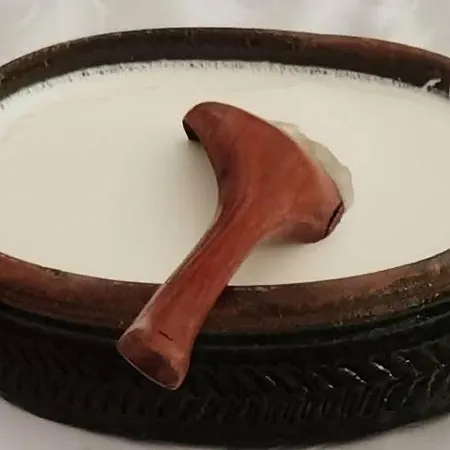 Sumadijska Panorama Topola