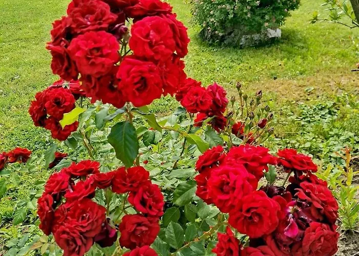 別荘 Sumadijska Panorama