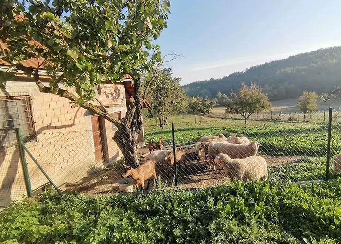 Sumadijska Panorama *