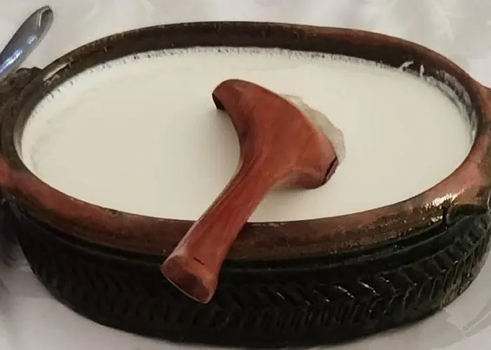 Sumadijska Panorama Topola